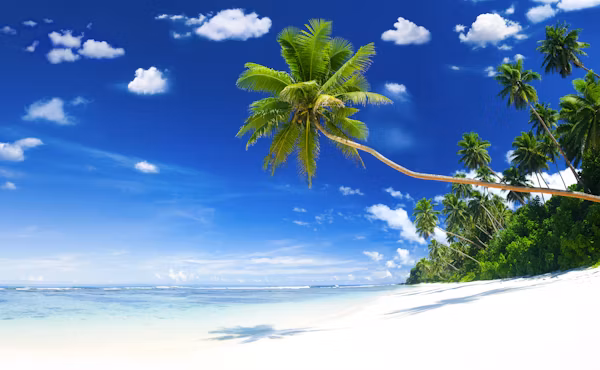 Diani Beach